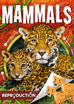Bertrand.pt - Mammals