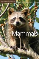 Mammals Of Alabama