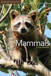 Mammals Of Alabama