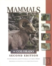 Mammals Of Colorado