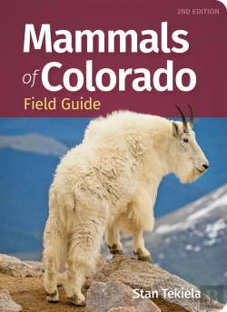 Bertrand.pt - Mammals Of Colorado Field Guide