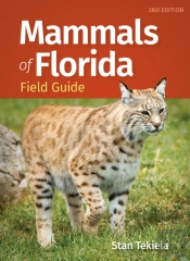 Mammals Of Florida Field Guide