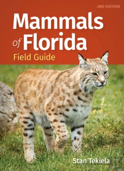 Bertrand.pt - Mammals Of Florida Field Guide