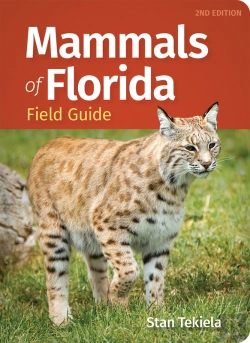 Bertrand.pt - Mammals Of Florida Field Guide