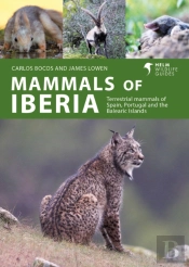 Mammals Of Iberia
