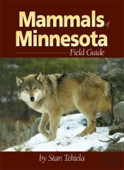 Mammals Of Minnesota Field Guide