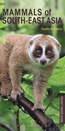 Bertrand.pt - Mammals Of South-East Asia