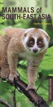 Mammals Of South-East Asia