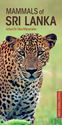 Bertrand.pt - Mammals Of Sri Lanka