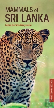 Mammals Of Sri Lanka