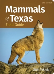 Mammals Of Texas Field Guide