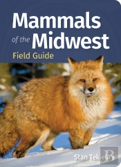 Mammals Of The Midwest Field Guide