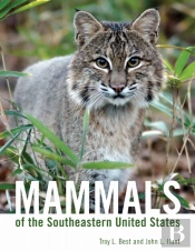 Mammals Of The Southeastern United States