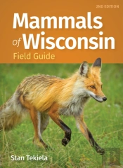 Mammals Of Wisconsin Field Guide