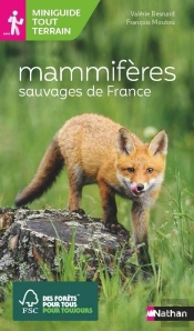 Mammifères Sauvages De France