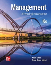 Management: A Practical Introduction
