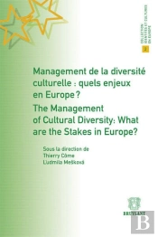 Management De La Diversite Culturelle : Quels Enjeux En Europe ?