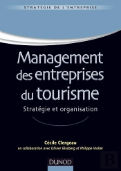Management Des Entreprises De Tourisme ; Stratégie Et Organisation