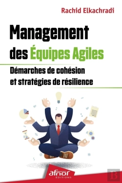 Bertrand.pt - Management Des Équipes Agiles : Démarches De Cohésion Et Stratégies De Résilience
