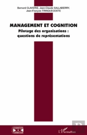 Management Et Cognition ; Pilotage Des Organisations : Questions De Représentations