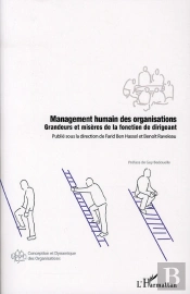 Management Humain Des Organisations ; Grandeurs Et Misères De La Fonction De Dirigeant