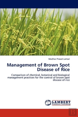 Bertrand.pt - Management Of Brown Spot Disease Of Rice