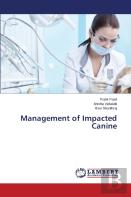 Management Of Impacted Canine