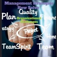 Management Strategies How Solve Organizational Challanges