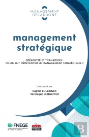 Management Stratégique : Créativité Et Transition : Comment Réinventer Le Management Stratégique ?