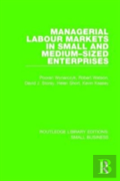 Managerial Labour Markets In Small And Medium-Sized Enterprises