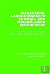 Managerial Labour Markets In Small And Medium-Sized Enterprises