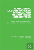 Managerial Labour Markets In Small And Medium-Sized Enterprises