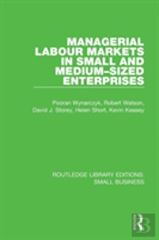 Managerial Labour Markets In Small And Medium-Sized Enterprises