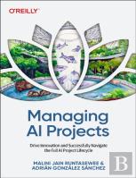 Managing Ai Projects