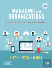 Managing And Organizations