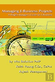 Managing E-Business Projects