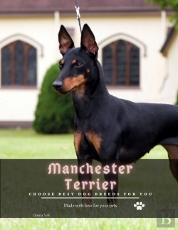 Bertrand.pt - Manchester Terrier