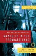 Manchild In The Promised Land