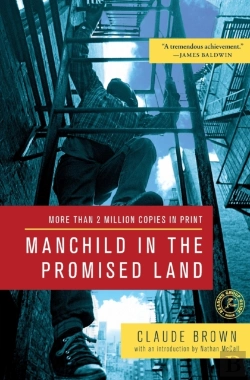 Bertrand.pt - Manchild In The Promised Land