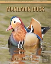 Mandarin Duck