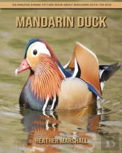 Mandarin Duck