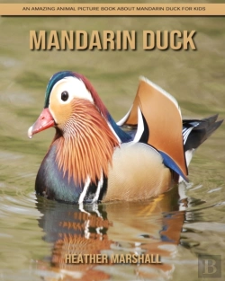 Bertrand.pt - Mandarin Duck