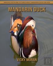 Mandarin Duck