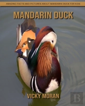 Mandarin Duck
