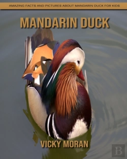 Bertrand.pt - Mandarin Duck