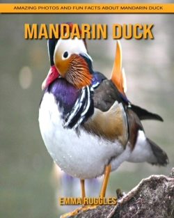 Bertrand.pt - Mandarin Duck