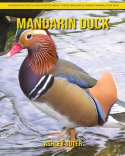 Bertrand.pt - Mandarin Duck