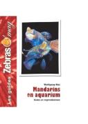 Mandarins En Aquarium ; Soins Et Reproduction