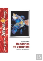 Mandarins En Aquarium ; Soins Et Reproduction
