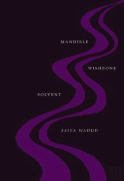 Bertrand.pt - Mandible Wishbone Solvent